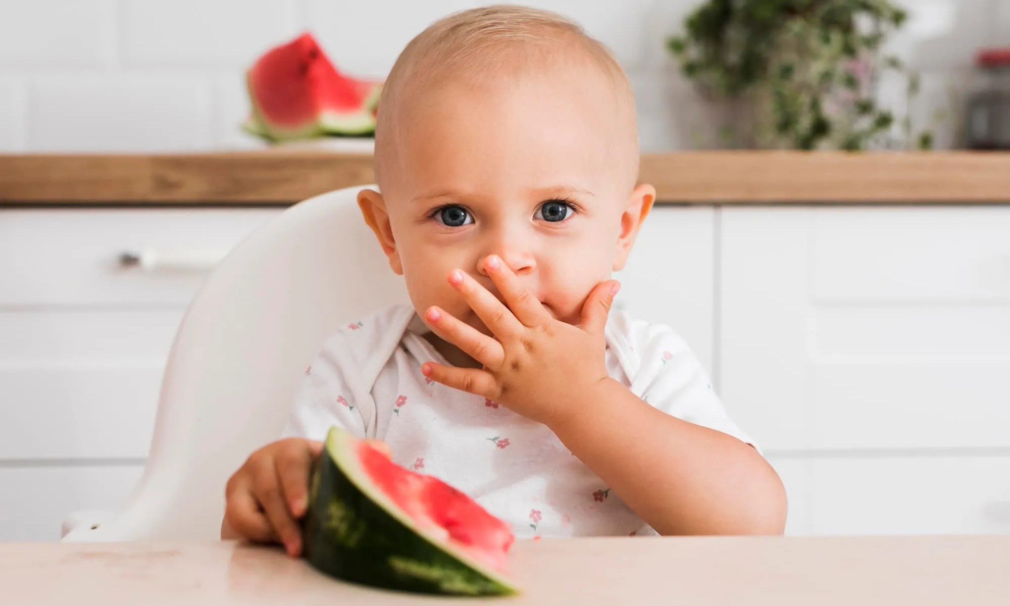 Bebê sentado na mesa comendo melancia sozinho.