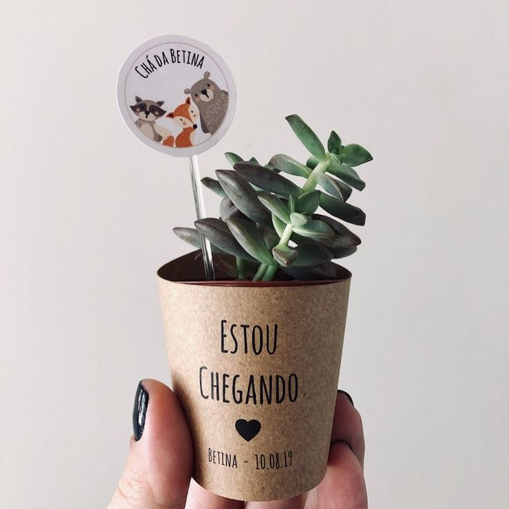 Plantas ou flores