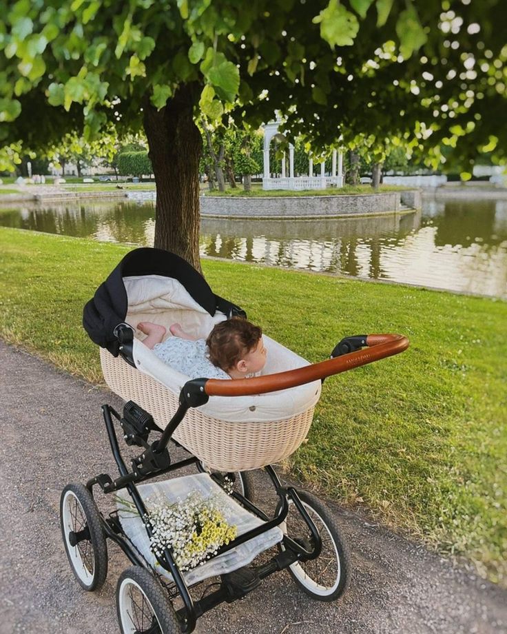 Carrinho de beb%C3%AA com fun%C3%A7%C3%A3o de mois%C3%A9s